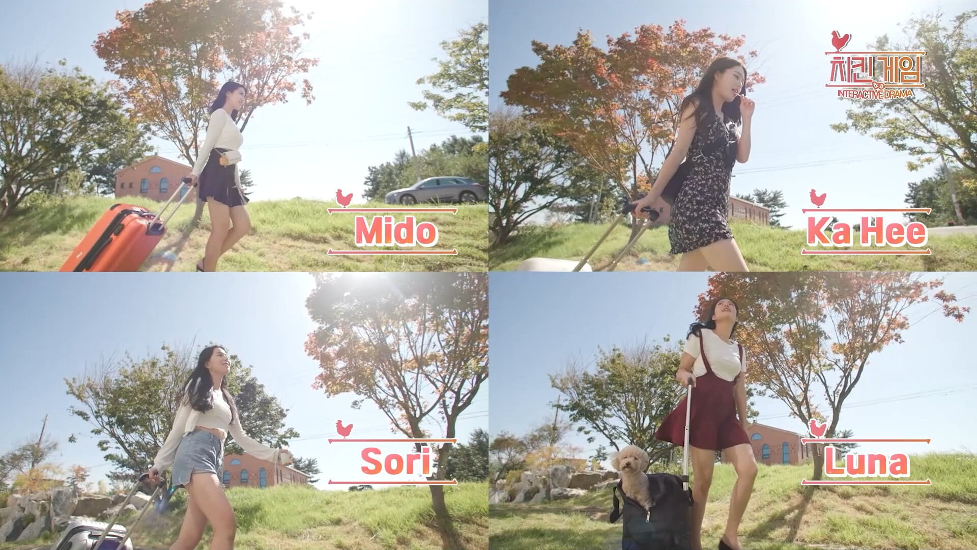 炸鸡游戏/鸡肉游戏/Chicken Game