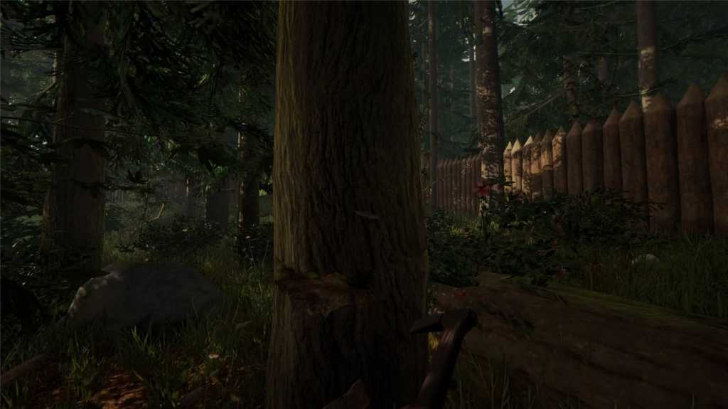 森林/迷失森林/The Forest