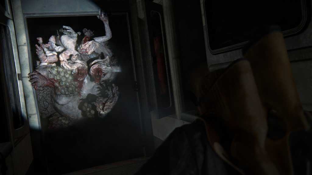 最后的生还者2：重制版/The Last of Us Part II Remastered
