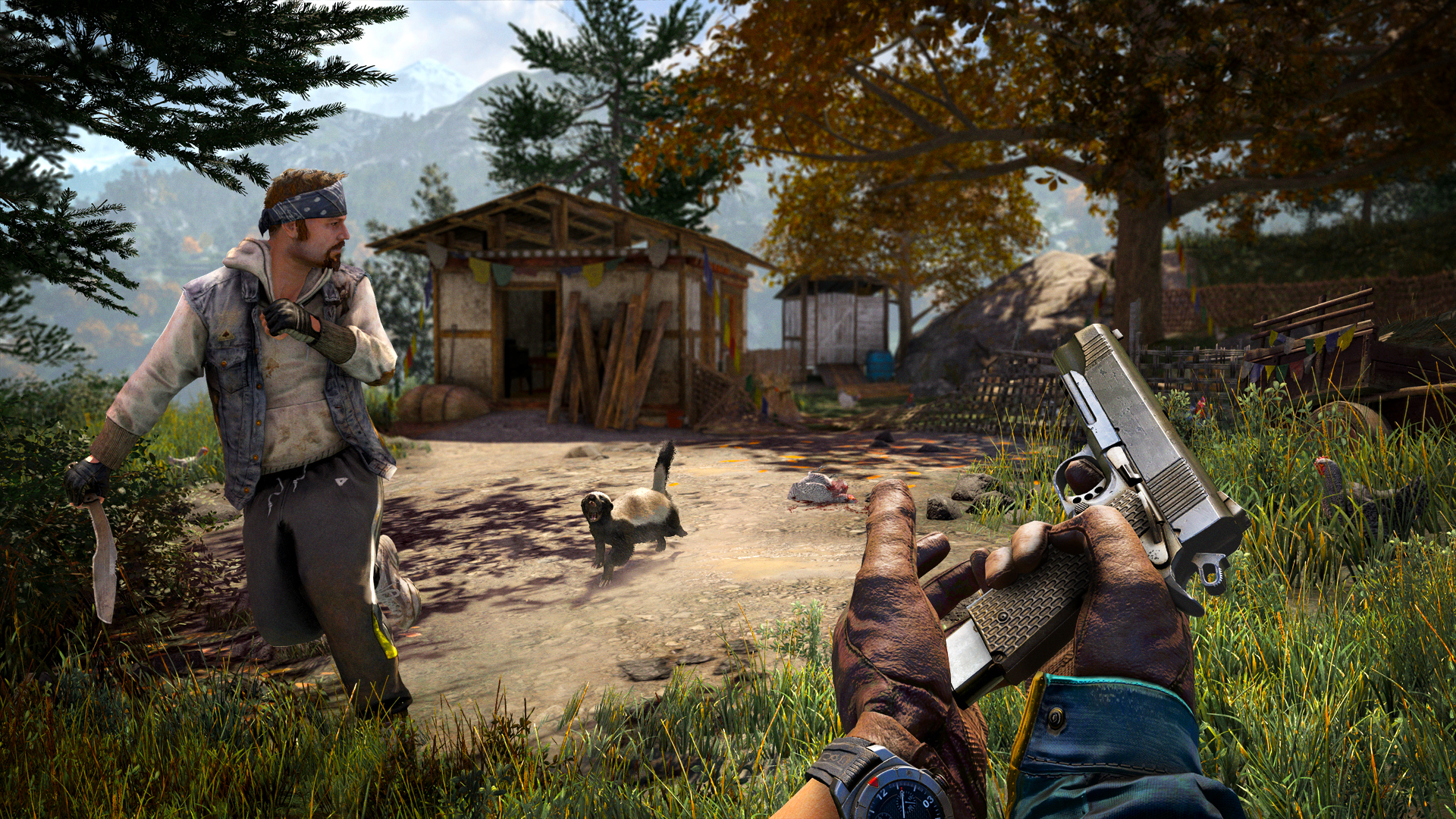 孤岛惊魂4/Far Cry 4
