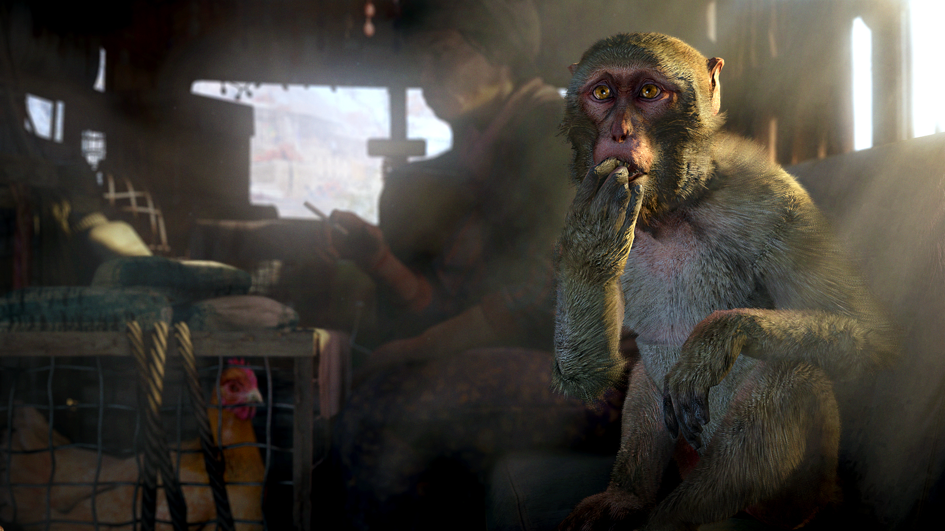 孤岛惊魂4/Far Cry 4