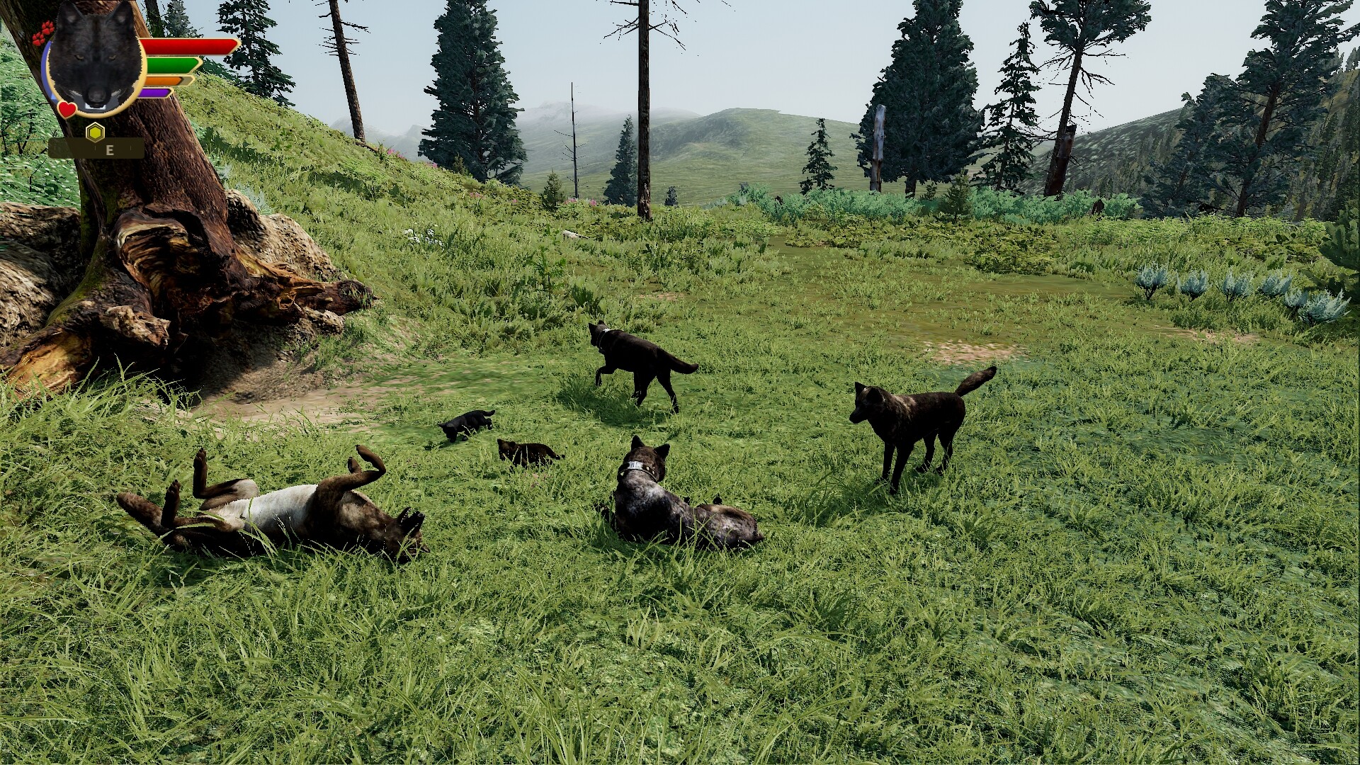 野狼谜踪：周年纪念版/WolfQuest: Anniversary Edition