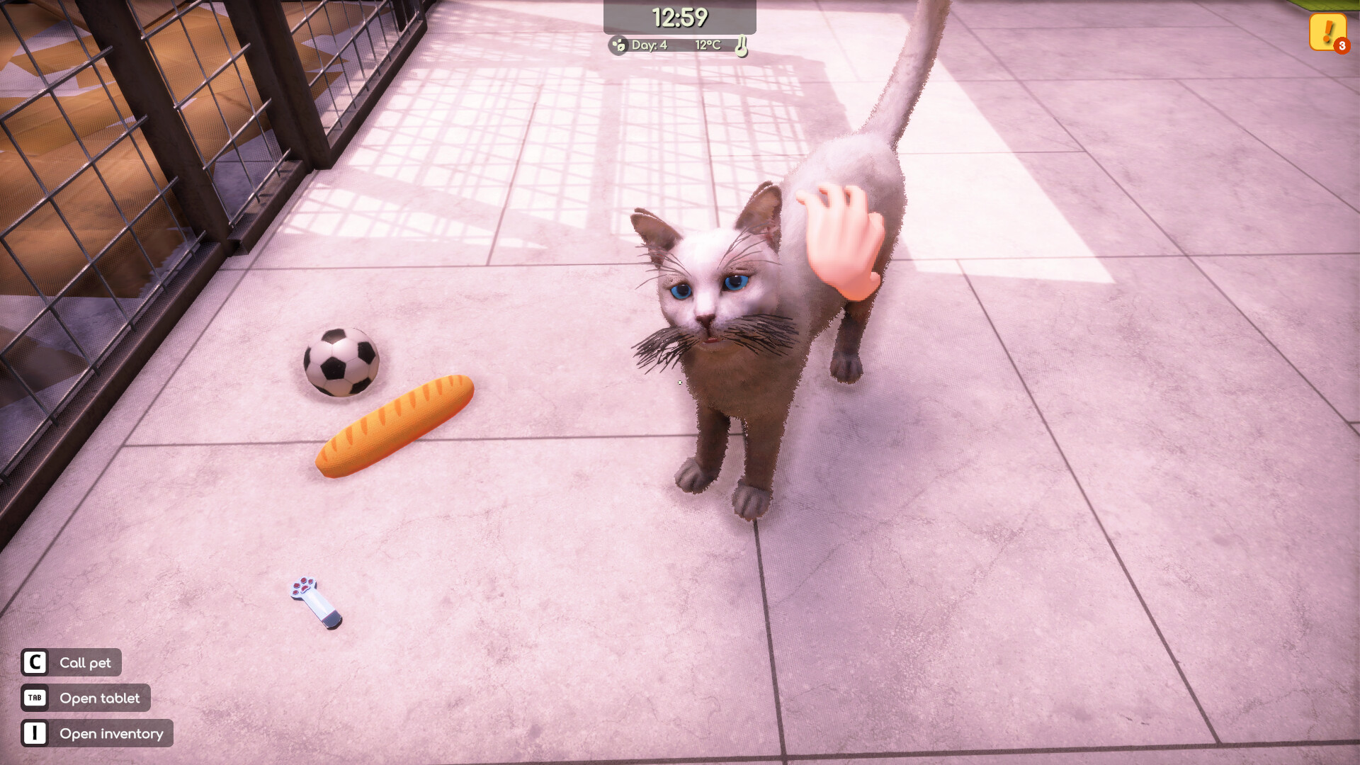动物收容所2/Animal Shelter 2
