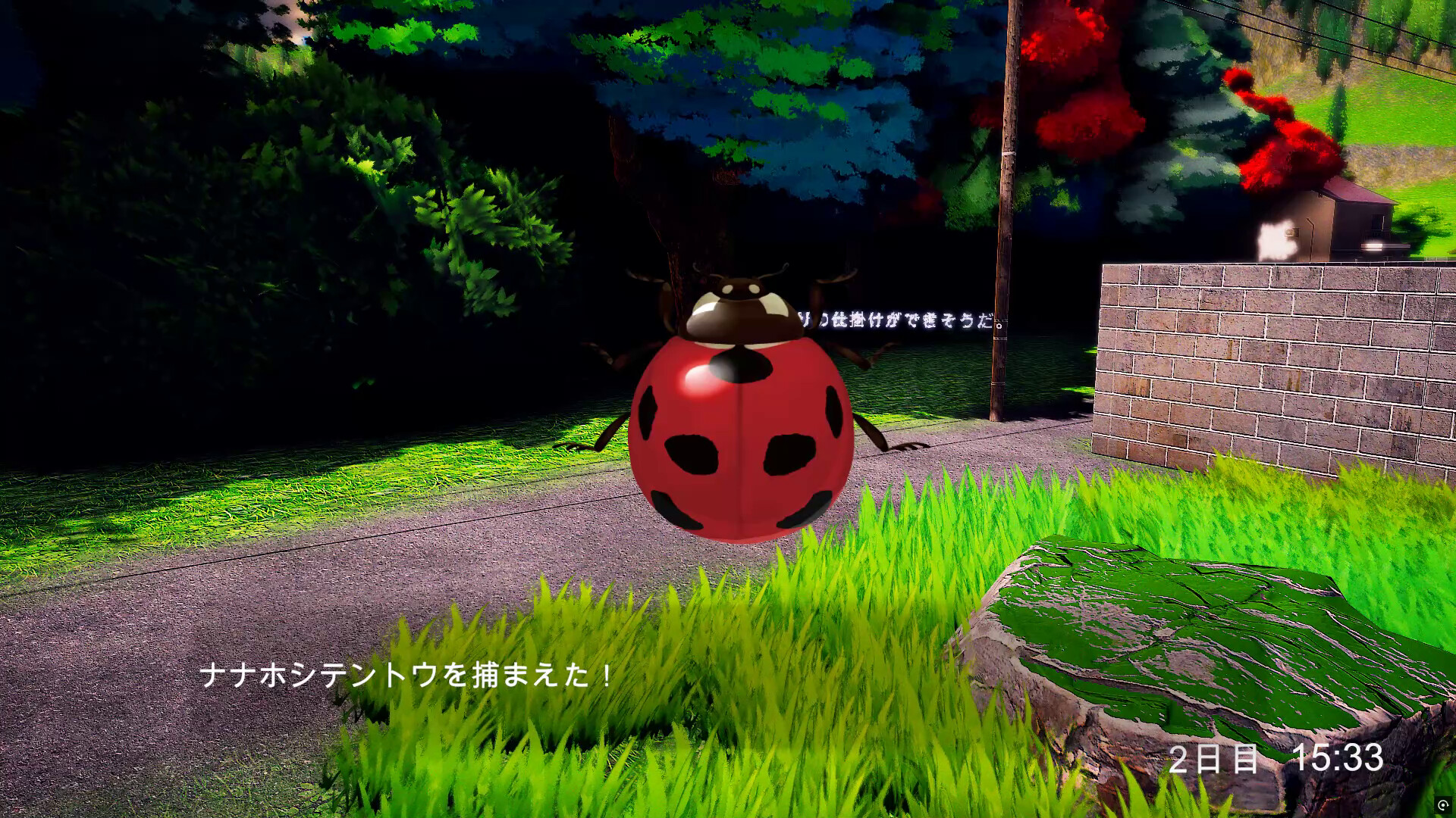 6天/6days