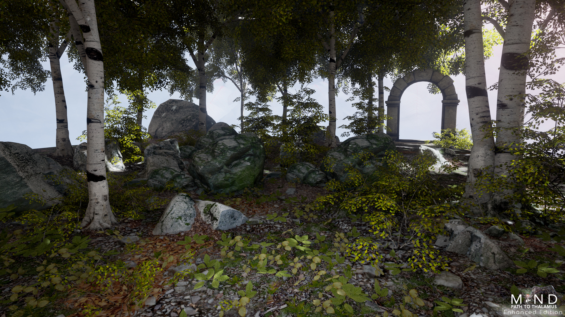 心智：视丘之径/MIND: Path to Thalamus Enhanced Edition