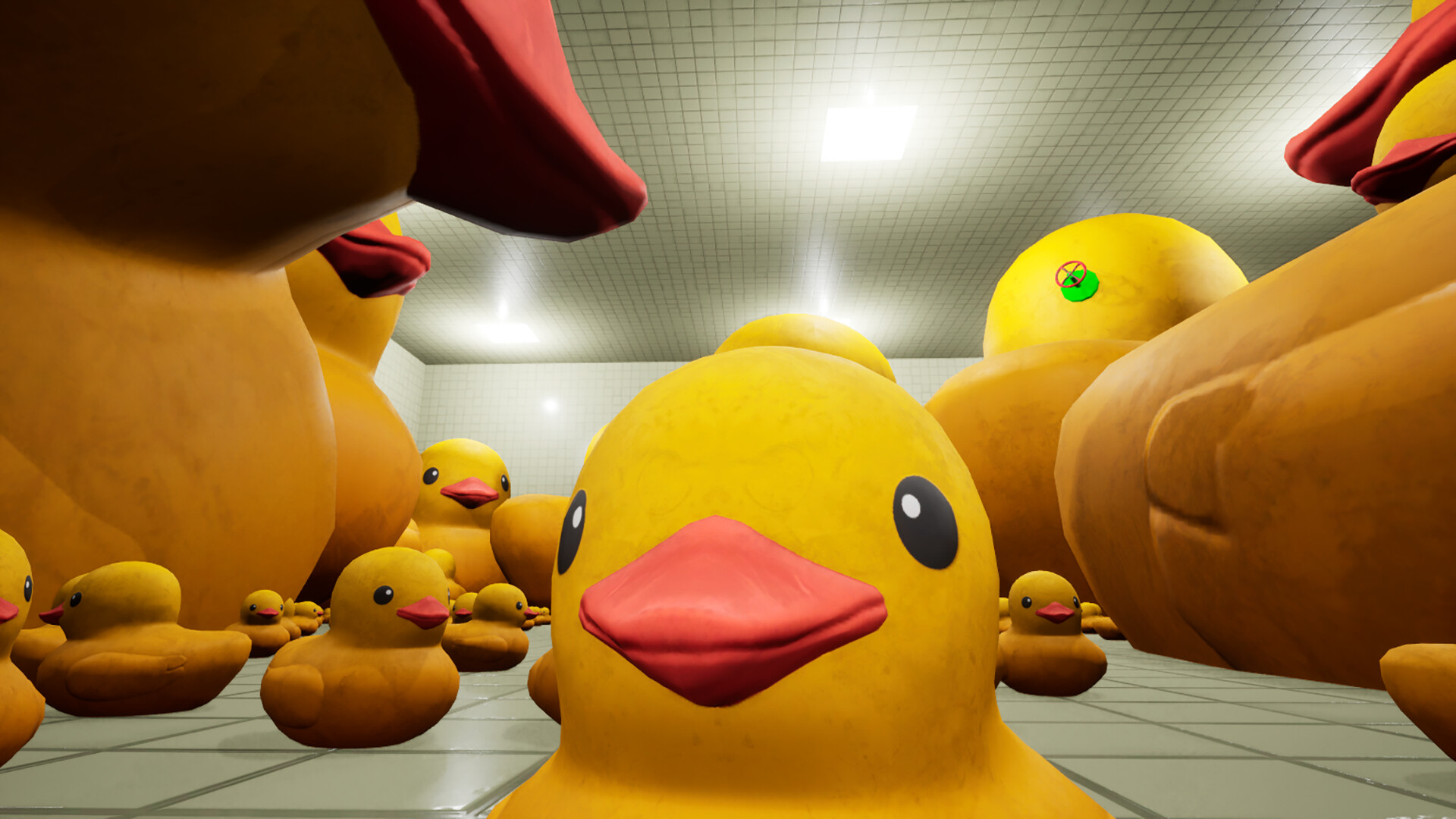 后室公司/Backroom Company