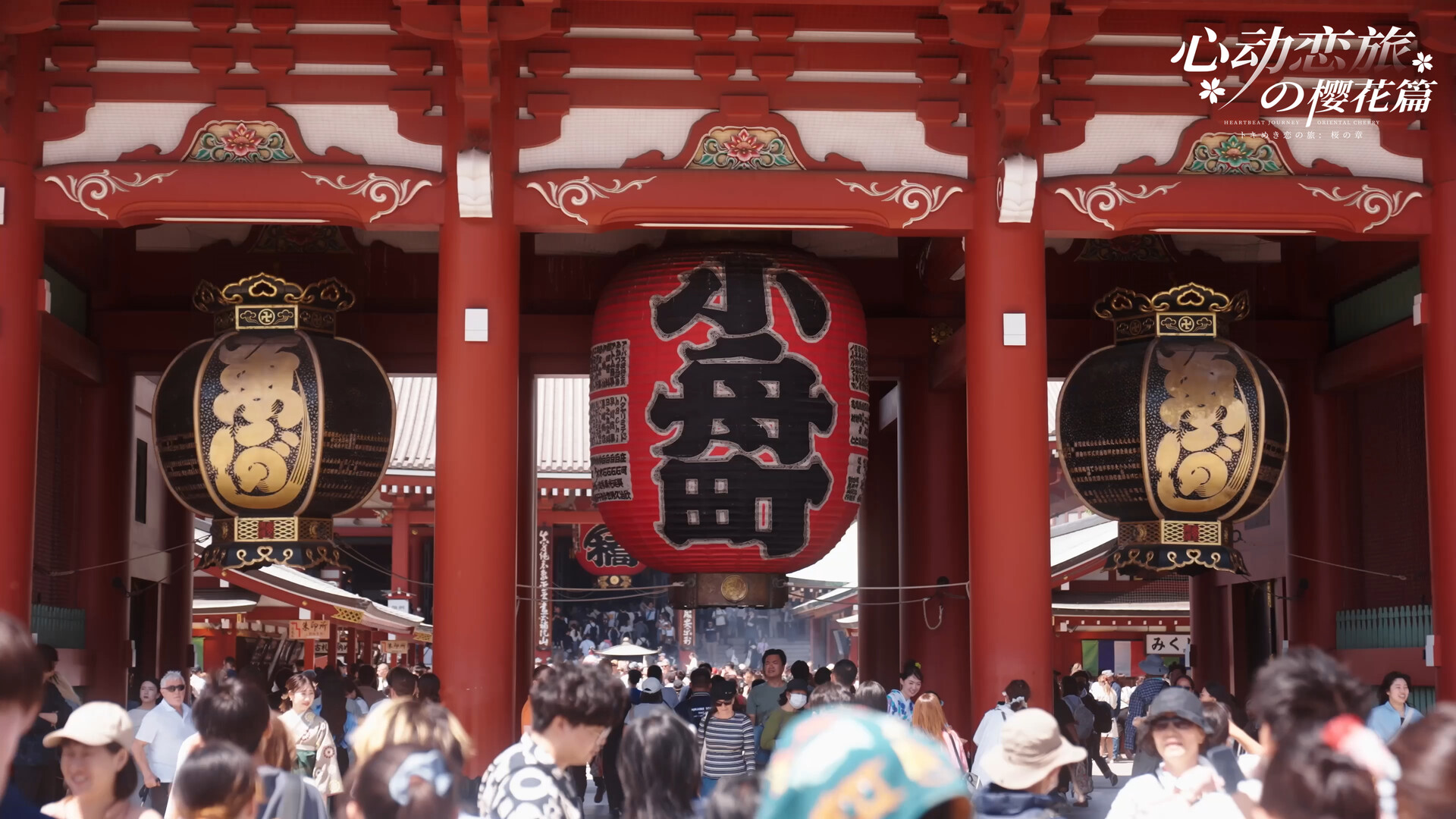 心动恋旅:樱花篇/Blossom Voyage