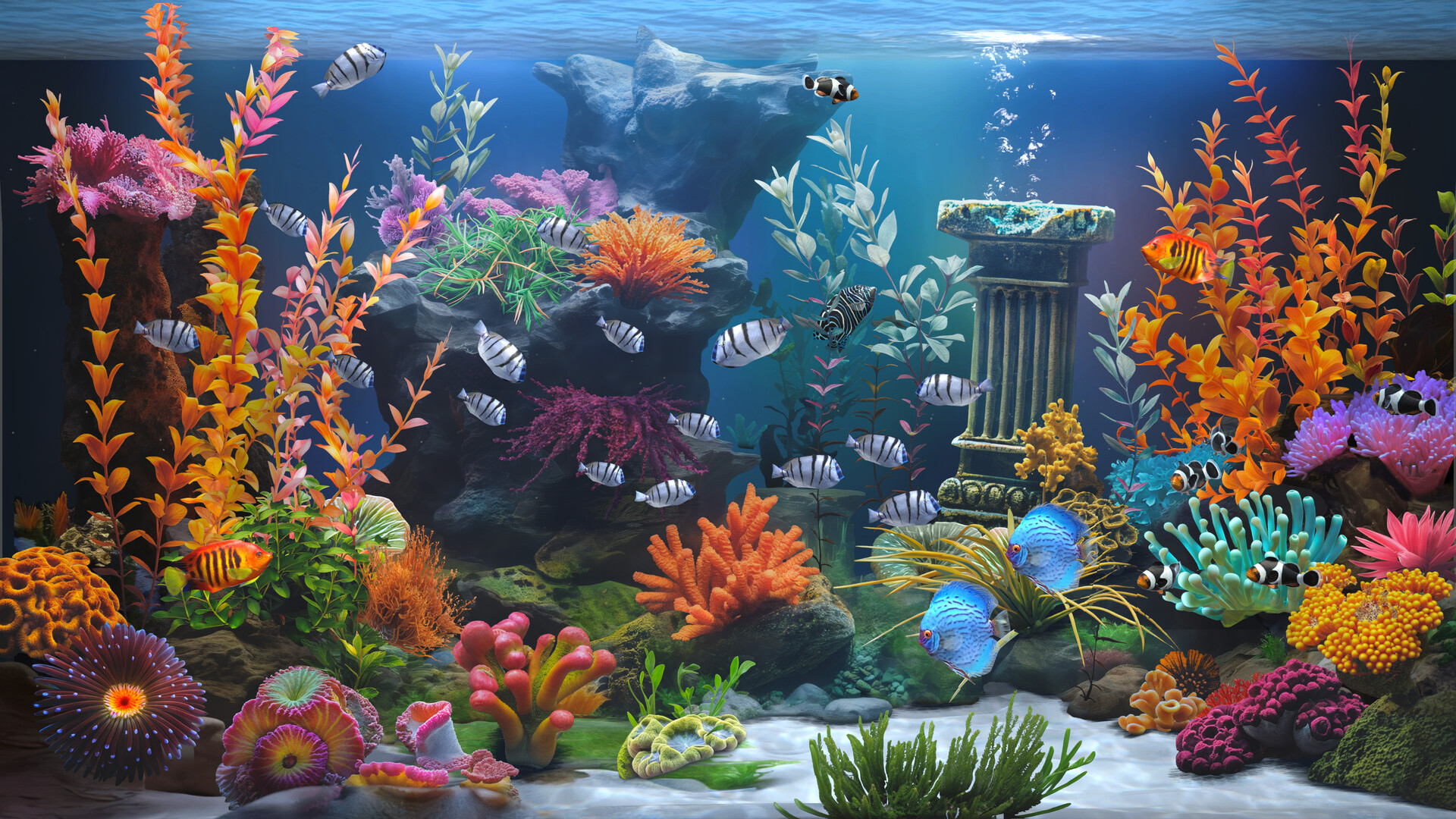 禅意水族馆/Zen Aquarium