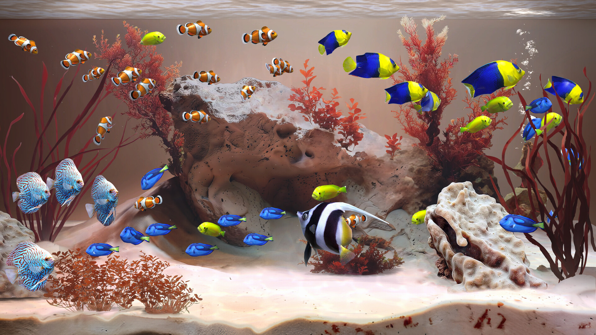 禅意水族馆/Zen Aquarium