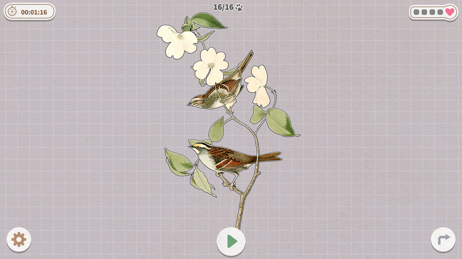 挤在一起的鸟鸟/Birds Huddled Together