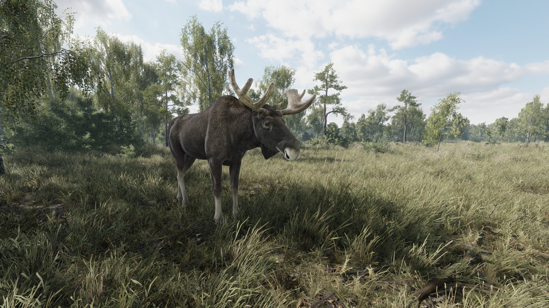 猎捕行动/On the Hunt