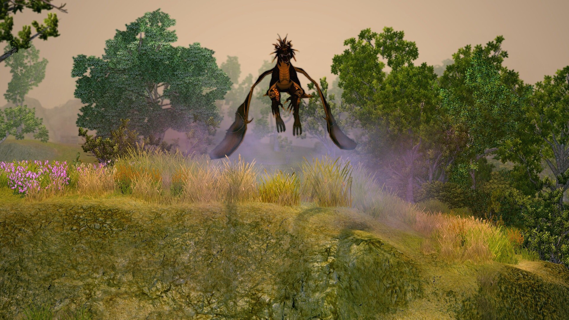 圣域2:重制版/Sacred 2 Remaster