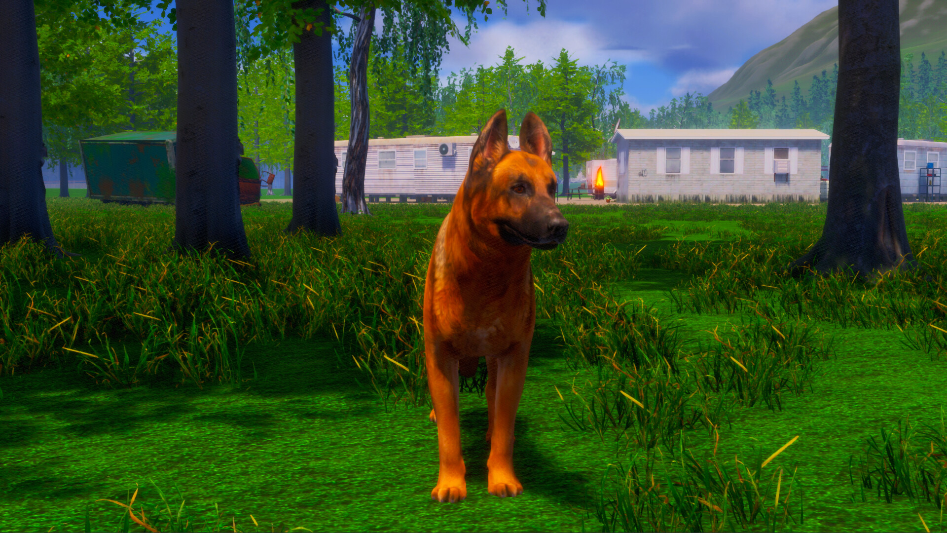 迷途狗爪/Lost Paws